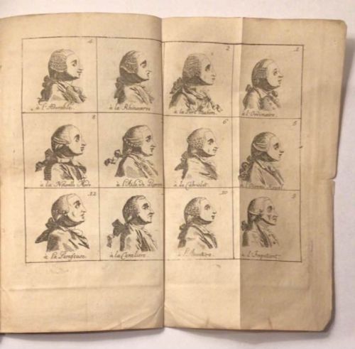 The Perruque In Pre-Revolutionary France: S’EN TORCHE QUI VOUDRA LES BARBES.