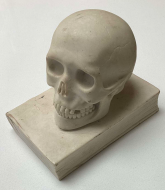   Memento Mori for the book lover