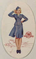  American Airline Luggage Labels 1950/60